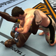 Illustration for article titled UFC 2009 Is May's Undisputed Bestseller